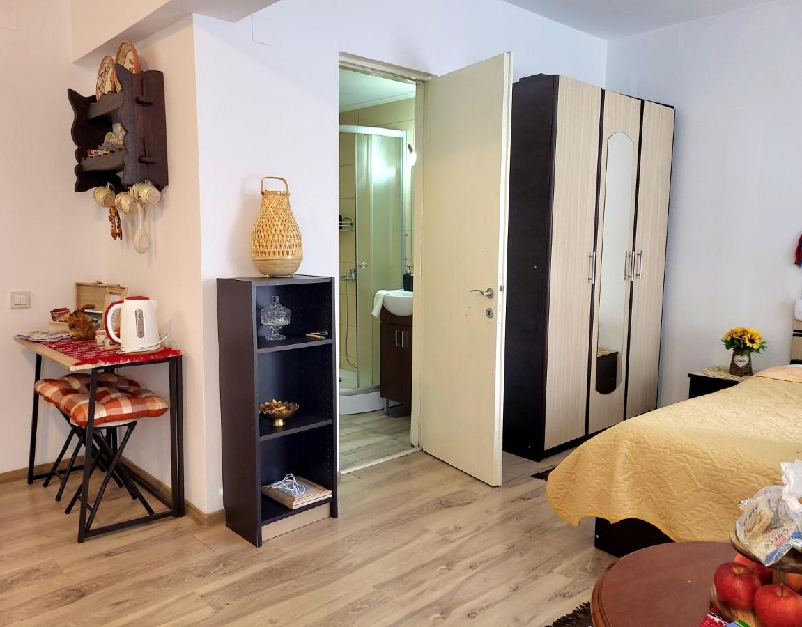 Traditional Romanian Apartments 布加勒斯特 外观 照片