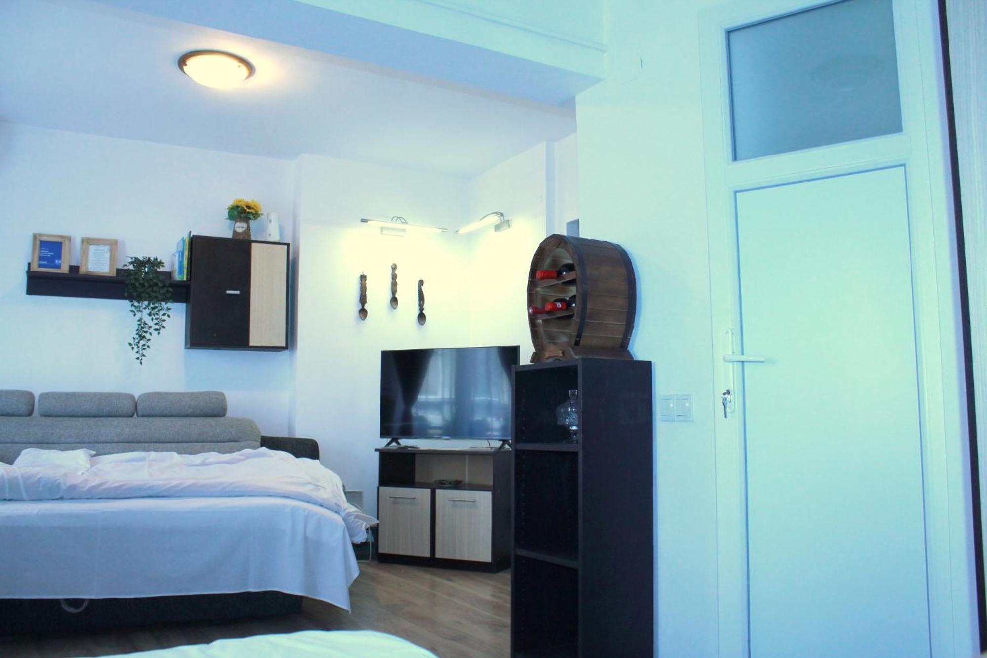 Traditional Romanian Apartments 布加勒斯特 外观 照片
