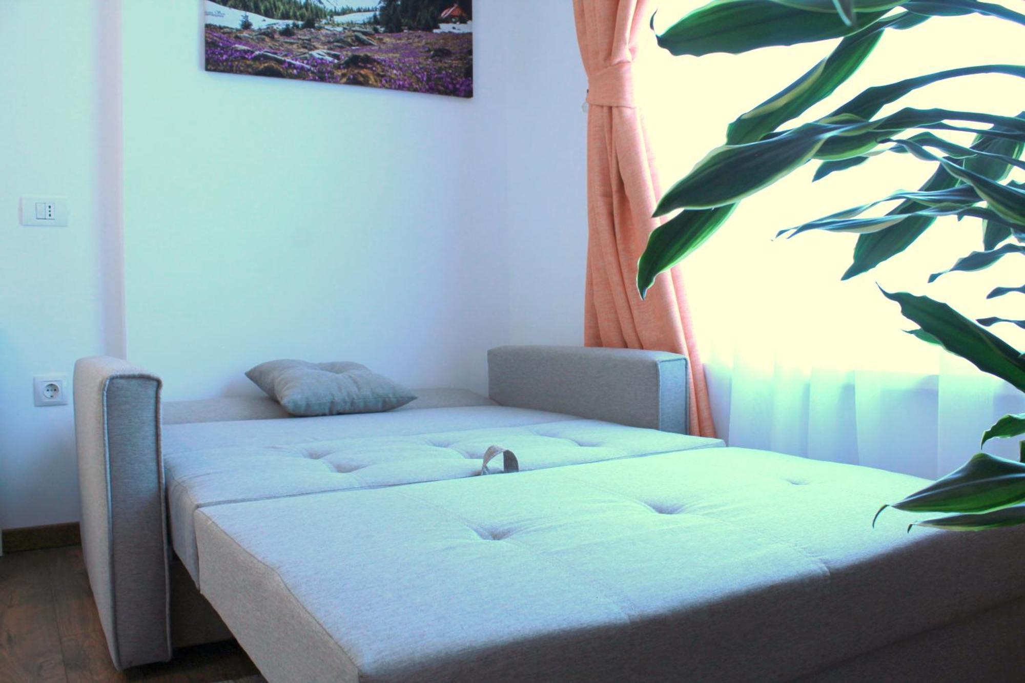 Traditional Romanian Apartments 布加勒斯特 外观 照片
